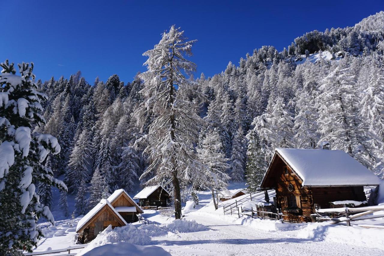 Bergheim Schmidt, Almhuetten Im Wald Appartments An Der Piste Alpine Huts In Forrest Appartments Near Slope Turracher Hoehe Luaran gambar