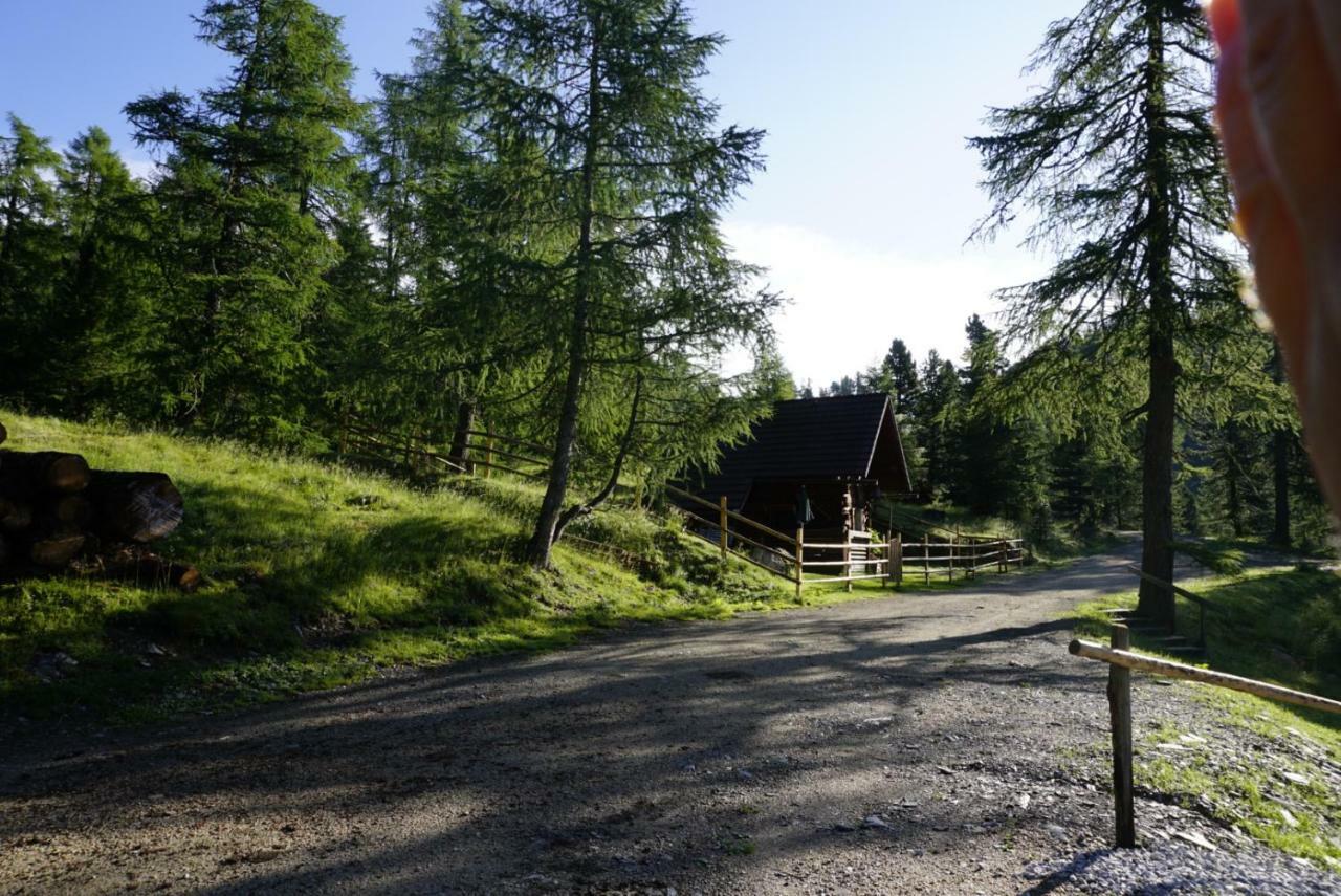 Bergheim Schmidt, Almhuetten Im Wald Appartments An Der Piste Alpine Huts In Forrest Appartments Near Slope Turracher Hoehe Luaran gambar